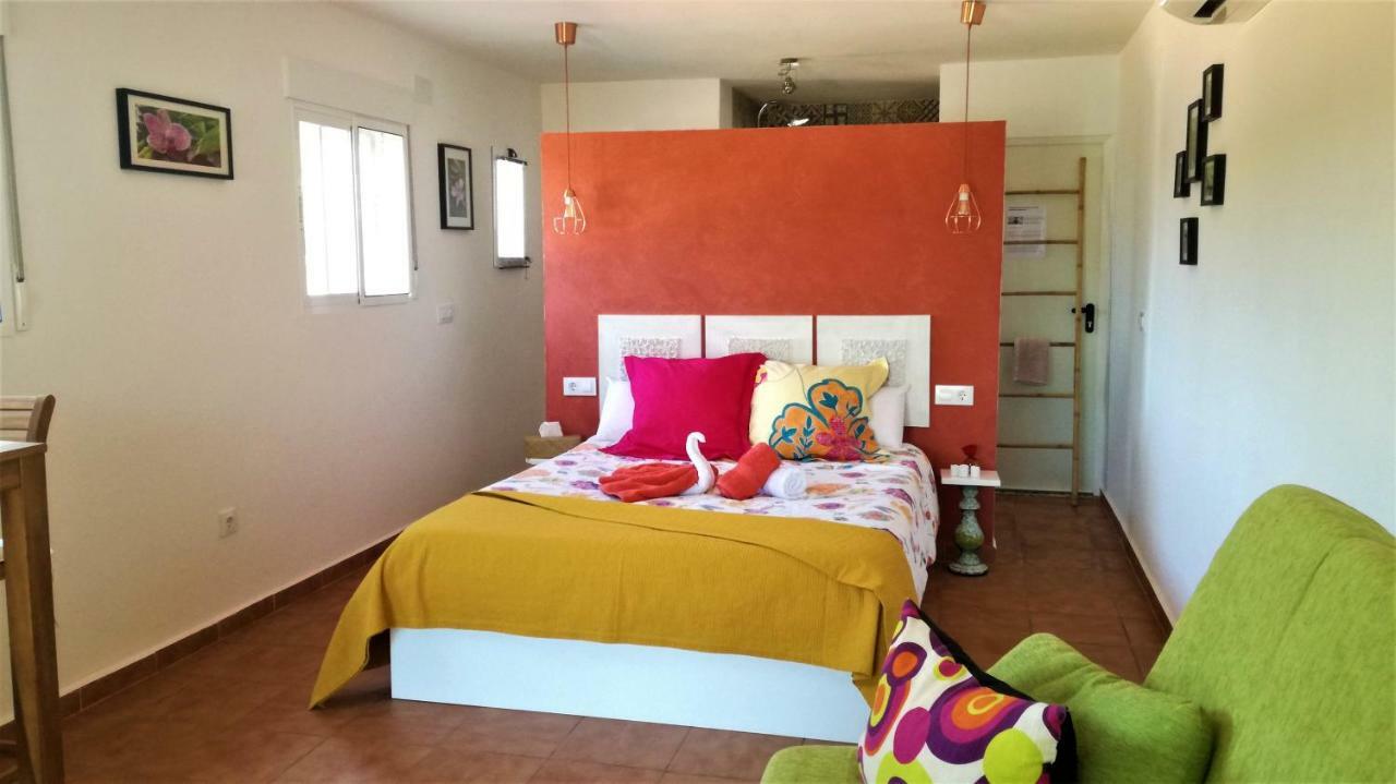 Casa Martinez Studios & Chambre D'Hotes A 3 Kms De Montserrat Valencia Montroy Buitenkant foto